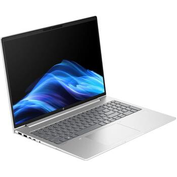 HP ProBook 460 G11 D0MG6ET, 16