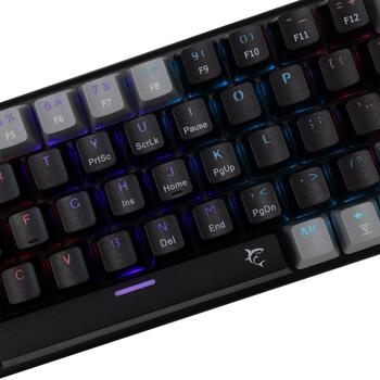White Shark Клавиатура WAKIZASHI-2-US-B-G-BLUE.SW, 64 клавиши, 1.5м, механическая, RGB подсветка, синие переключатели (WAKIZASHI-2-US-B-G-BLUE.SW)