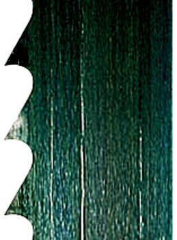 Scheppach Полотно ленточной пилы 73230704, 2895x15x0,65mm, 4 TPI, 0,3 kg (73230704)