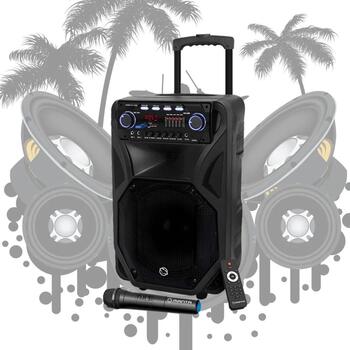 Manta Караоке колонка SPK5021PRO, 80 W, 12 дюймов, 2x входа для микрофона, Bluetooth, FM радио, 5 ч воспроизведения (SPK5021PRO)