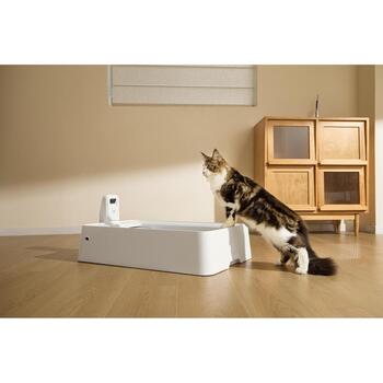 Petkit Purobot Crystal Duo с камерой, P9905, 5.65кг, 0.07м3, AI камера, самоочистка, двустороннее сгребание (P9905)