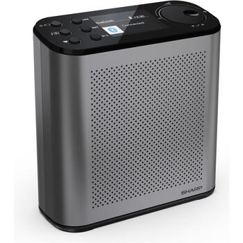 Sharp OSAKA Портативное цифровое радио DR-P530(GY), 5V, 120 предустановленных станций, Bluetooth, USB порт, аккумулятор (DR-P530(GY))