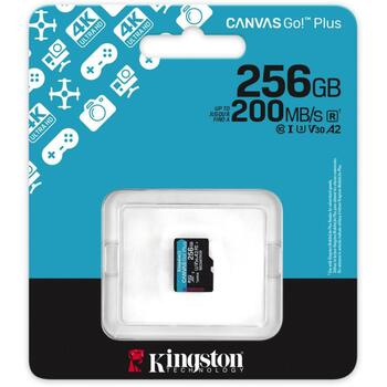 Kingston microSDXC SDCG4/256GBSP 256GB, 200MB/s, UHS-I, U3, V30, A2, черный/бирюзовый (SDCG4/256GBSP)