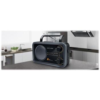 Muse портативный радиоприемник M-06DS, 2 диапазона FM/MW, AC 230V 50Hz, 4 x C батарея, AUX вход, разъем для наушников, серый (M-06DS)