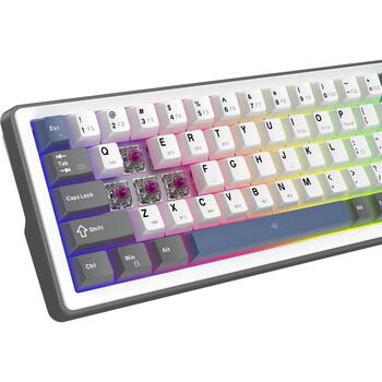 White Shark EXCALIBUR M GK-009251, механическая клавиатура 67 клавиш, 65%, линейные переключатели, hot-swap, 3 режима, RGB (EXCALIBUR-M-W-US)