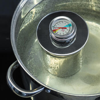 Browin 100601 термометр для скороварки для ветчины, 0-120°C, 12,5см, аналоговый, белый (100601)