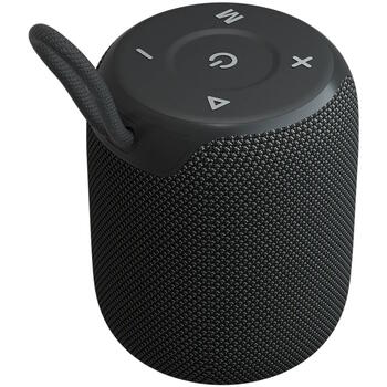 Портативная Bluetooth колонка мощностью 10 Вт с защитой от воды IPX6 и TWS соединением OnMove 9 Чёрная CNE-CBTSP9 CANYON (CNE-CBTSP9)