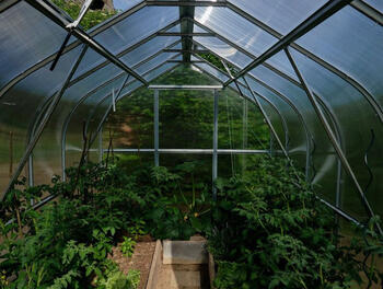 Siltumnīca KLASIKA 10 - 2.5m x 4m - 6mm polikarbonāta 4779037490264 KLASIKA GREENHOUSE (4779037490264)