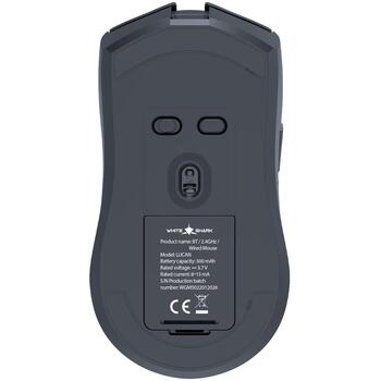 White Shark LUCAN-B, беспроводная игровая мышь 12000 DPI, 5 кнопок, 300 мАч, USB-C, RF 2.4 GHz, Bluetooth (LUCAN-B)