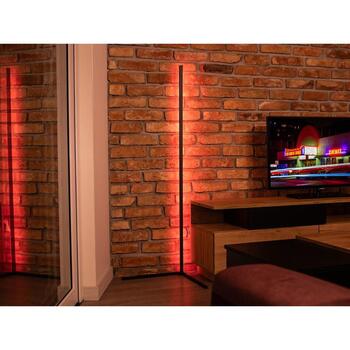Tracer Напольная лампа TRAOSW47253, 5W, 220-240V, 12 режимов освещения, RGB, совместима с Tuya и Smart Life (TRAOSW47253)