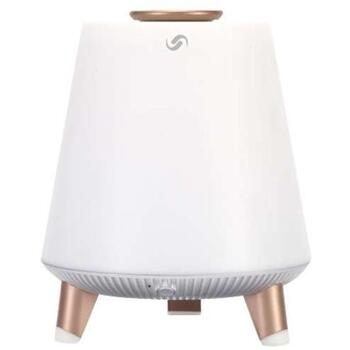 Blaupunkt Bluetooth колонка BT25LAMP, 10W, 3.5mm AUX, 10m, LED подсветка, беспроводная, MP3, функция громкой связи (BT25LAMP)