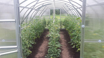 Теплица BALTIC LT 3 x 12м - поликарбонат 4мм 4779037491469 KLASIKA GREENHOUSE (4779037491469)