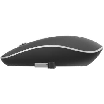 Gembird USB datorpele MUSW-4B-01, 4 pogas, 1600 DPI, RF bezvadu, akumulators AA, melna, balta (MUSW-4B-01)