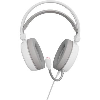 Genesis Austiņas NSG-2308, 3.5 mm, USB-A, 32Ω, -42dB, 2.2m, RGB apgaismojums, pār-auss (NSG-2308)