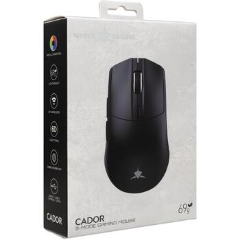 White Shark CADOR-B WGM-5020 игровая мышь, 6 кнопок, 6400-10000 DPI, 1000 Гц, BT/2.4GHz/провод, RGB, 500 mAh, 69 г (CADOR-B)
