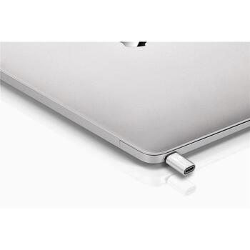 Goobay USB-C adapteris 56636, 5 pin Micro-USB Type B female, 24 pin USB-C male, sudraba (56636)