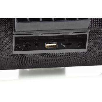 Manta Беспроводная колонка SPK15GO-BK, 20 W, 3600 mAh, AUX, SD карта, USB, FM, Bluetooth, 10 м, 9 ч (SPK15GO-BK)