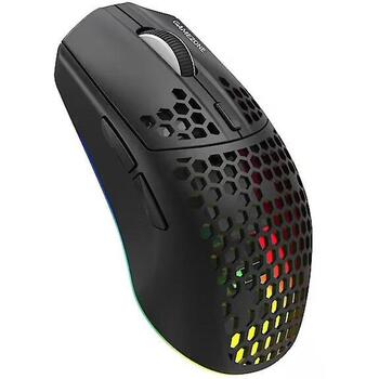 Tracer беспроводная игровая мышь GameZone Intense Honeycomb RF TRAMYS47844, 12000 dpi, 800 dpi, 1000 Hz, 2.4 GHz, 10 м, 500 мАч (TRAMYS47844)