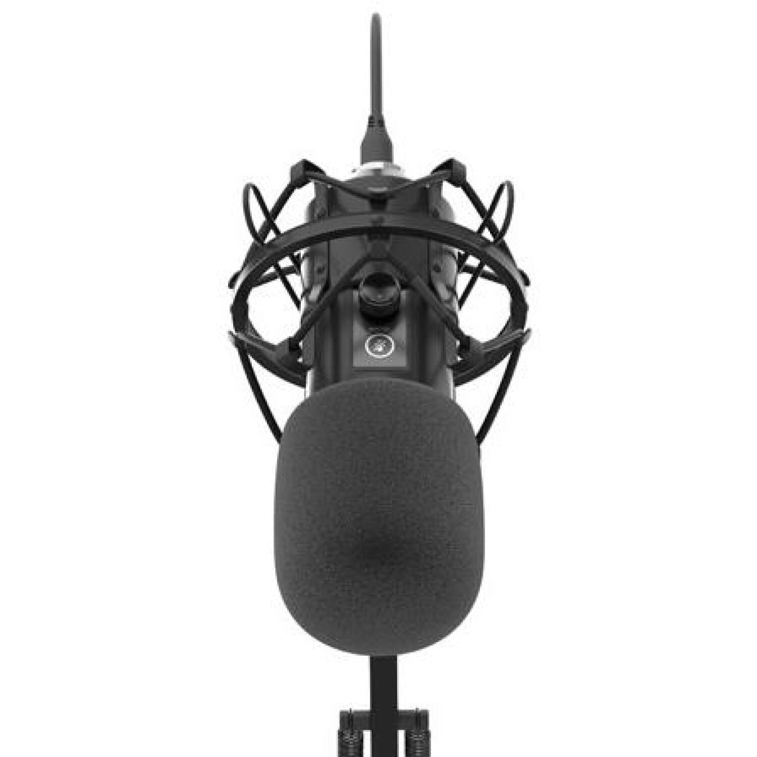 Genesis студийный микрофон Radium 400 G2 NGM-2285, USB, -29 dB, 20 - 20000 Hz, 192 kHz, 24 бит, кардиоида, металл (NGM-2285)