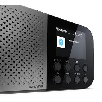 Sharp OSAKA карманное/портативное цифровое радио DR-P520(GY), 5,08 см, 12 ч, Bluetooth 5.3, DAB/DAB+/FM (DR-P520(GY))