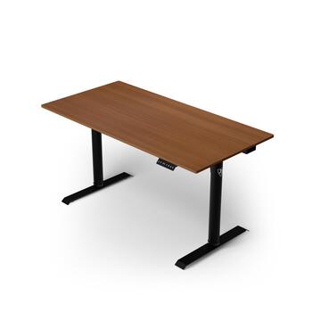 Arozzi Electric Standing Desk | Arena Nordico | Walnut (ARENA-NRD-WLN)