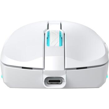 Baracuda Pele TURTLE-W BGM-122, 3200 DPI, 6 pogas, 95 g, bezvadu, RF 2.4 GHz, apgaismojums (TURTLE-W)