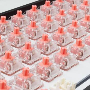 White Shark Venom Rose механические переключатели VENOM ROSE-65, 65 шт., 4 мм, розовый, 5 контактов (VENOM ROSE-65)