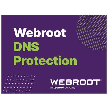 Webroot Защита DNS с GSM Консолью 152300001B, 1 год, 10-99 пользователей, подписка (152300001B)