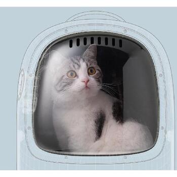 Petkit Рюкзак для домашних животных Breezy 2-G, 1.4kg, ABS, PC, ткань, 33x30x45cm, эргономичный, вентиляция, освещение (P7704 Green)