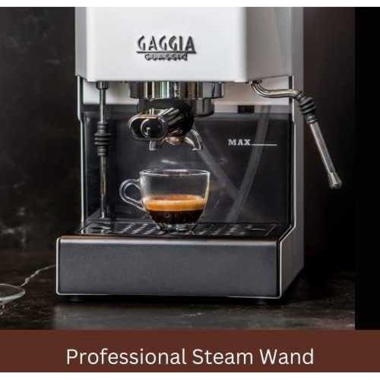 Gaggia Кофемашина RI9481/13 Classic E24, 15 бар, 2.1 л, полуавтоматическая, встроенный капучинатор, polar white (RI9481/13)