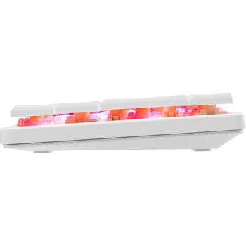 White Shark Клавиатура NAGAMAKI-W-US-RED.SW, 29.2см, 10.3см, 2.5см, 0.32кг, USB-C, RGB подсветка, 62 клавиши (NAGAMAKI-W-US-RED.SW)