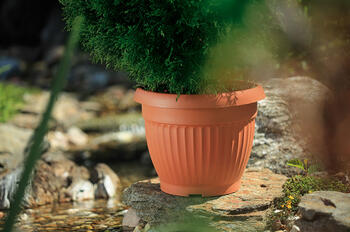 Puķu pods Dona 40 x 31 cm 5405170 FORM PLASTIC (5405170)