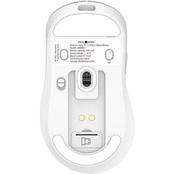 White Shark Мышь GAWAIN-W, 500mAh, 12000DPI, 56g, 5 кнопок, зарядка USB-C, Bluetooth 5.2, RF 2.4 GHz (GAWAIN-W)
