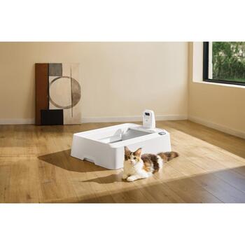 Petkit Purobot Crystal Duo с камерой, P9905, 5.65кг, 0.07м3, AI камера, самоочистка, двустороннее сгребание (P9905)