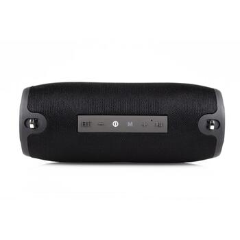 Manta Беспроводная колонка SPK15GO-BK, 20 W, 3600 mAh, AUX, SD карта, USB, FM, Bluetooth, 10 м, 9 ч (SPK15GO-BK)