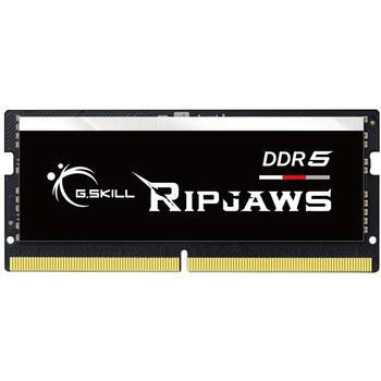 G.Skill Ripjaws DDR5 SO-DIMM F5-5600S4040A32GX1-RS, 32 ГБ, 5600 МГц, 1.1 В, DDR5, ПК/сервер, Зарегистрирован Нет, ECC Нет (F5-5600S4040A32GX1-RS)