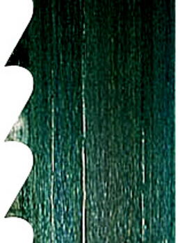 Scheppach Полотно ленточной пилы 73230704, 2895x15x0,65mm, 4 TPI, 0,3 kg (73230704)