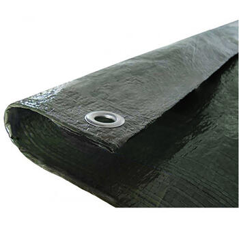Pārklājs 3*4m 120g/m2 000162 (000162)