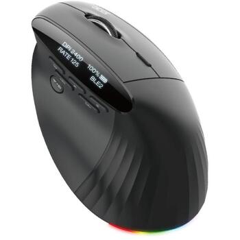 Acer Smart Fit vertikālā pele HP.EXPBG.020, 8000 dpi, Bluetooth 5.0, 10 pogas, optiskā, ergonomisks dizains (HP.EXPBG.020)