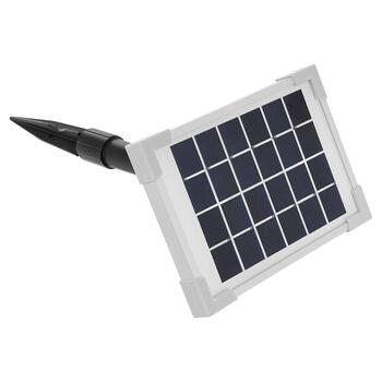 Солнечный насос для пруда 2W Gecko (G81471)