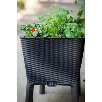 Keter Easy Grow Rattan Waves puķu pods, 29194592939, 120L, 114x49,3x75,7cm, laistīšanas sistēma, drenāžas krāns (29194592939)