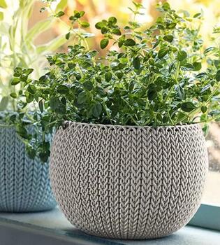 Puķu podu komplekts Cozies Trio D15.1xH10.7cm, 3 gab., violets/bēšs/gaiši zils, 29202587610, KETER (29202587610)