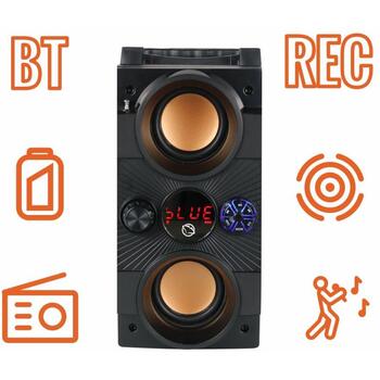 Manta Караоке колонка SPK8170000001, 16W, 10ч, FM радио, Bluetooth, USB-C, MicroSD, проводной микрофон (SPK8170000001)