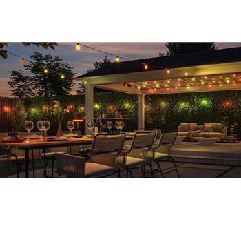 Philips Hue Festavia Globe удлинитель уличной гирлянды, 14м, 30Вт, 20 ламп, 50 лм, IP65, Zigbee, черный (8721103062857)