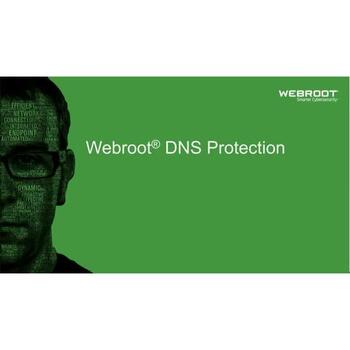 Webroot Защита DNS с GSM Консолью 152300001B, 1 год, 10-99 пользователей, подписка (152300001B)