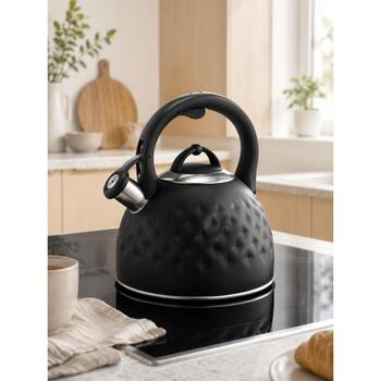 Brock MWK 002 BK La Cuisinette чайник, 2,7л, 3л, нержавеющая сталь, черный, для индукции, со свистком (MWK 002 BK)