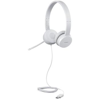 Lenovo USB наушники 110 GXD1E71385, 1.8м, 32Ω, 116dB, USB Type-A, микрофон с держателем, стереозвук (GXD1E71385)
