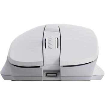 Sbox Мышь WM-308W, 6, 800-1600 DPI, 2,4 GHz, 300 мАч аккумулятор, для правой руки (WM-308W)