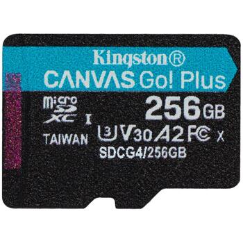 Kingston microSDXC SDCG4/256GBSP 256GB, 200MB/s, UHS-I, U3, V30, A2, черный/бирюзовый (SDCG4/256GBSP)