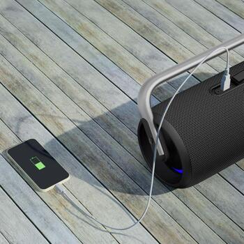 Manta Портативная Bluetooth колонка SPK325-BK, 80W, 10ч, Bluetooth 5.3, TWS, голосовой помощник, пауэрбанк (SPK325-BK)